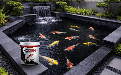 Koizen Cat Pelapis Kolam Ikan Koi Tahan Lama
